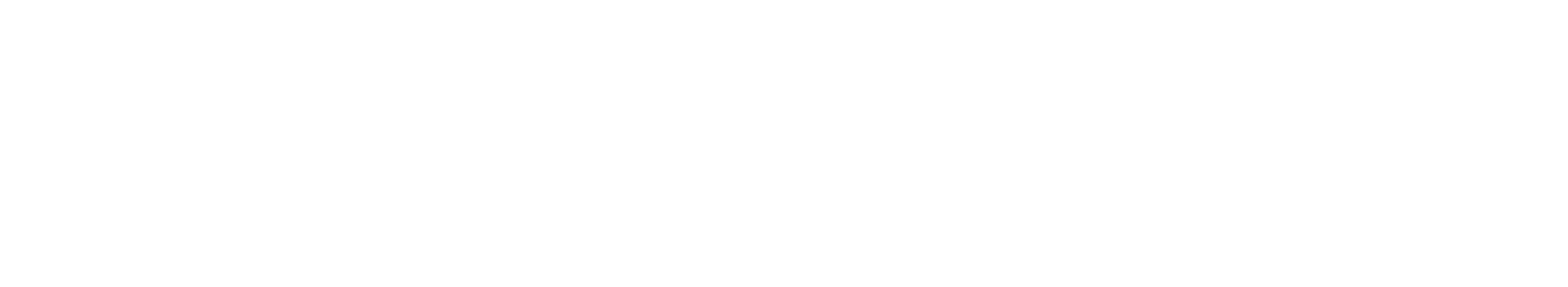 deepseek-text
