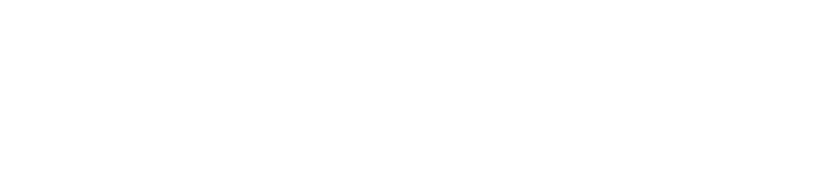 wordpress-logo-white